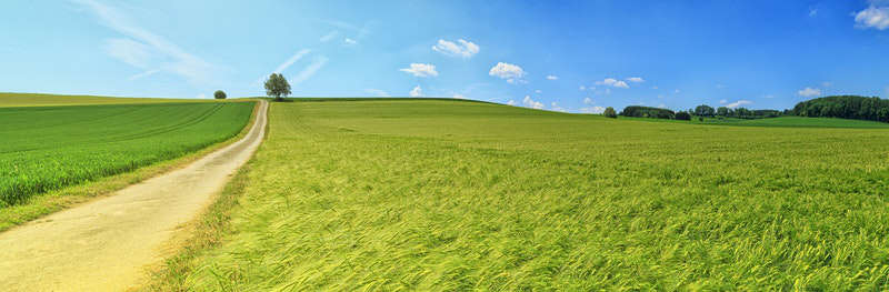 crops-insurance Crops Insurance